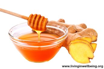 Ginger-Honey Mixture
